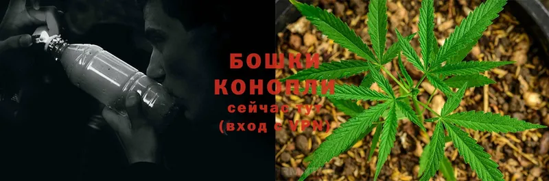 наркота  Артёмовский  Каннабис OG Kush 